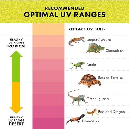 Zilla Rapid Sense UV Detecting Terrarium Decor, Crocodile Skull, Medium
