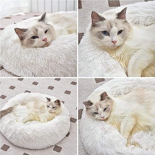 Cat Beds for Indoor Cats - Cat Bed Washable 24 inches, Dog Beds for Small Medium Dogs, Anti Anxiety Round Fluffy Plush Faux Fur Pet Bed, Thick Bottom