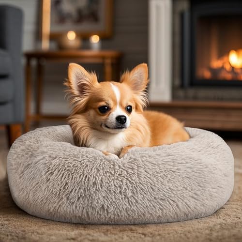 Hoewina Dog & Cat Bed, 20in Cat Beds for Indoor Cats (Brown)