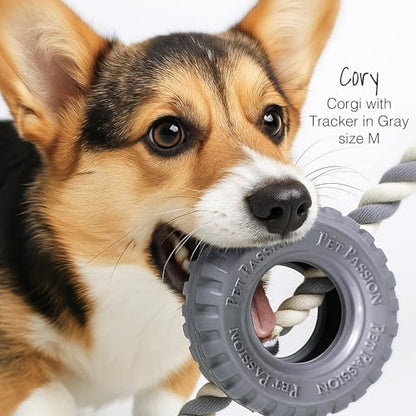 Pet Passion Natural Rubber Tire and Organic Cotton Rope Pull and Chew Dog Toy for All Pet Breeds, Black, Small