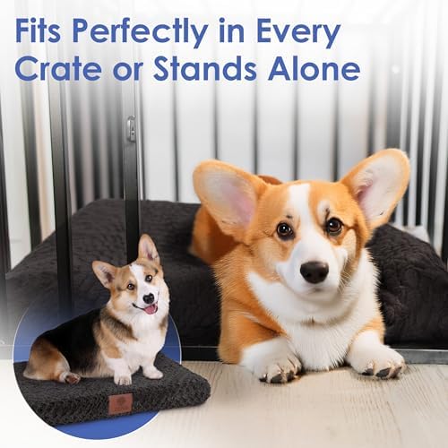 American Kennel Club Orthopedic Memory Foam Dog Crate Bed, Egg Crate Foam, Washable Cover, Non-Skid Bottom, Relieves Joint Pain, Breathable, Durable, 24x19, Black