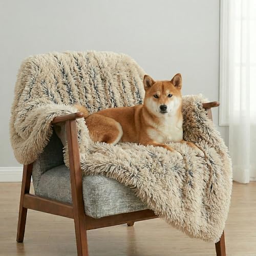 PJYuCien Lightweight and Portable Soft Dog Blanket, 30"x40", Beige