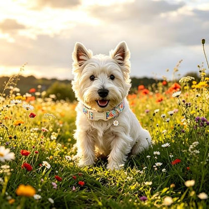 Lionet Paws Floral Dog Collar Summer Wildflowers Cosmos Corn Poppy Collars with White Daisies Pattern Pendant - Female Girl Dog Collar for Small Medium Dogs XS