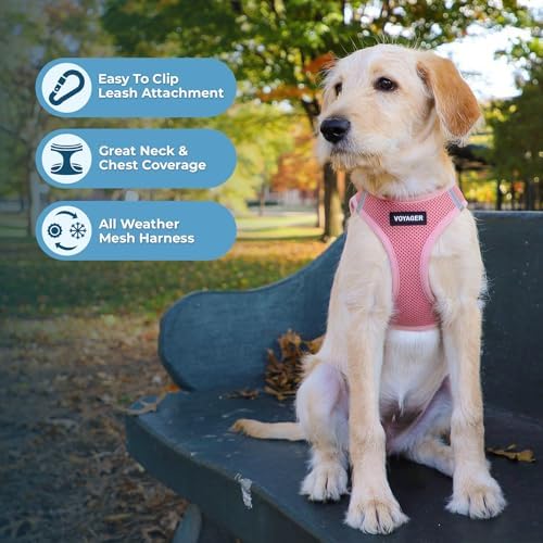 Best Pet Supplies Voyager Step-in Air All Weather Mesh Harness and Reflective Dog 5ft Leash Combo with Neoprene Handle, for Small, Medium and Large Breed Puppies - Pink, X-Small