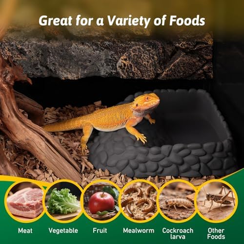 Reptile Water Dish Large Bearded Dragon Food Bowl, Rock Corner Water Dish for Reptiles Snake Water Bowl Feeding for Leopard Gecko Tortoise Lizard Tank Accessories, Terrarium Reptile Pool with Ramp