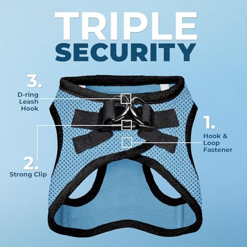 Best Pet Supplies Voyager Step-in Air All Weather Mesh Harness and Reflective Dog 5ft Leash Combo with Neoprene Handle, for Small, Medium and Large Breed Puppies - Baby Blue/Black Trim, Small