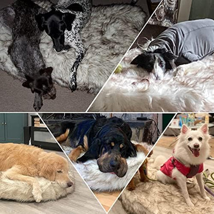 Laifug Luxury Faux Fur Orthopedic Dog Bed, Memory Foam Dog Bed, Suitable for Medium, Large and Extra Large Pets, Waterproof, Removable and Washable Cover (White with Brown Piping, 50x30 inches)