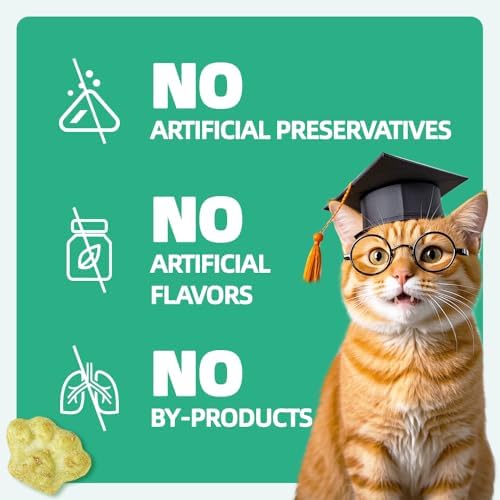 Wellix 13.05 oz Catnip Treats for Cats for Digestive Support