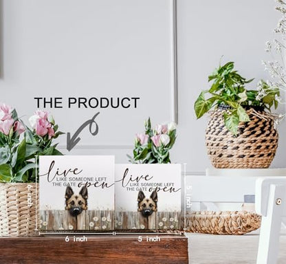 Belgian Malinois Signs - Farm Cottagecore Animal Office Kitchen Bedroom Decor,Rustic Farmhouse Live like Someone Left the Gate Open Home Decor Signs,Belgian Malinois Gifts for Women,6x6