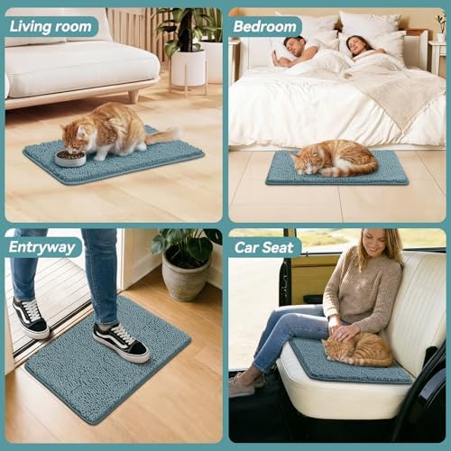 Bcoimo Super Absorbent Cat Door Mat, 24"*17" Anti Slip Mat for Muddy Paws