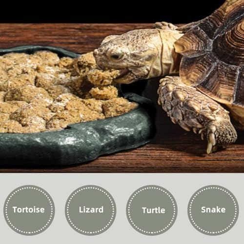 AYNEFY Reptile Food Water Rock Bowls,Resin Reptile Feeder Lizard Feeding Dish Amphibian Feeder Bowl Terrarium Decor for Bearded Dragons Leopard Gecko Frog Snake(Emerald