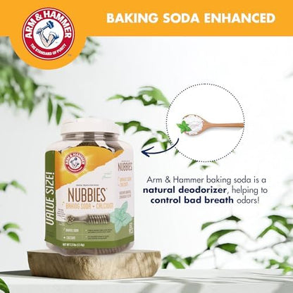 Arm & Hammer Nubbies Dental Dog Treats, Mint Flavor, 62 Count Bucket