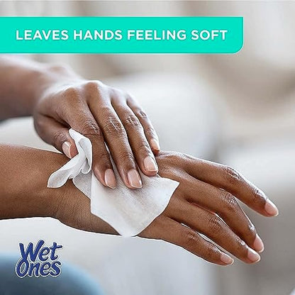 Wet Ones Mixed 13 Piece Bundle of Human & Pet Wet Wipes, Hypoallergenic | 10 Packs Sensitive Skin Hand and Face Wipes, 20 Ct Plus 3 Packs for Pets Hypoallergenic Dog Wipes, 100ct