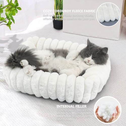 Dog Beds for Very Small Dogs & Cats - Washable Rectangle Comfy Sleeping Puppy Bed Cuddler with Anti-Slip Bottom, Soft Calming Plush Pet Sofa Bed for Indoor Kittens & Puppies, XS (18"x14"x4", Cream)
