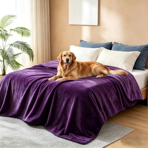 gogobunny Waterproof Blanket for Dogs and Cats, Reversible Flannel Double-Sided Furniture Protector for Couch Sofa Bed Against Spills & Pet Fur (50" x 60", Dark Purple/Light Purple)