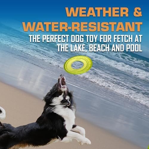 Nerf Dog Tire Flyer Dog Toy Gift Set, Flying Disc_Dog Fetch Toys, Rubber_Dog Toy for Medium_Dogs and Large Dogs, Red, Translucent Green and Translucent Blue, 10 Inch (Pack of 12)