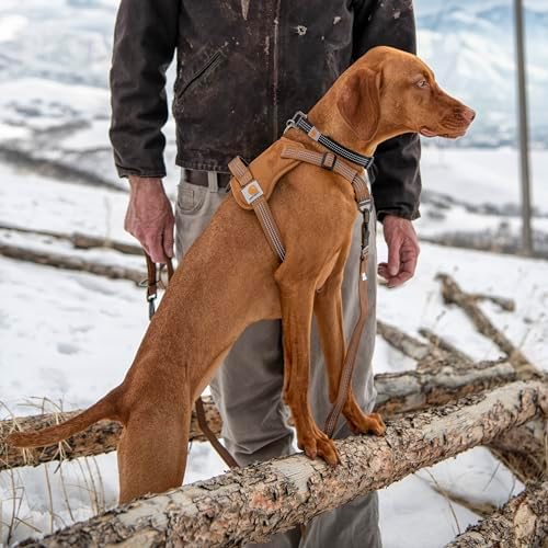 Carhartt Nylon Duck No Pull Dog Harness Carhartt Brown L