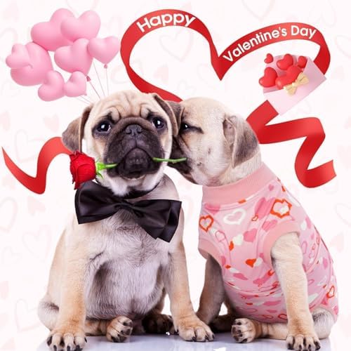 Kuoser Recovery Suit for Dogs After Surgery, Female Dog Onesie for Surgery