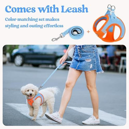 rabbitgoo Dog Harness Medium Sized and Leash Set, Step-in Puppy Pet Vest