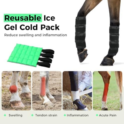 Ice Boots for Horses, Horse Ice Boots, Black & Green, 4 Pack