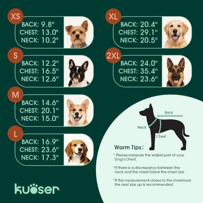 Kuoser Dog Recovery Suit, Anti-Licking Pajamas for Wounds