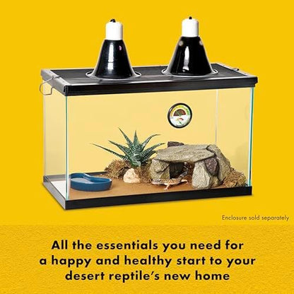 Zilla Desert Habitat Accessory Kit for Snakes, Terrarium Starter Kit