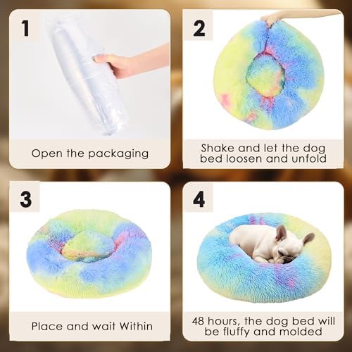 Hoewina Dog & Cat Bed, 20in Cat Beds for Indoor Cats (Rainbow)