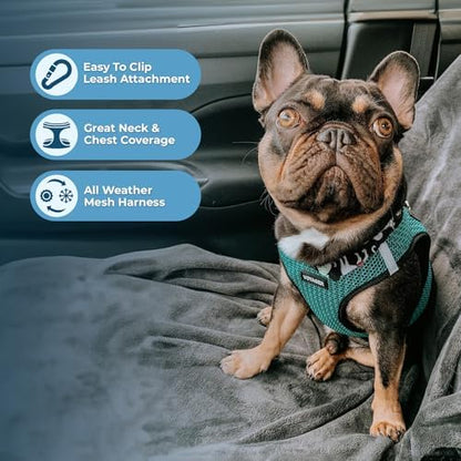 Voyager Step-in Air Dog Vest Harness - Turquoise 2-Tone, Large
