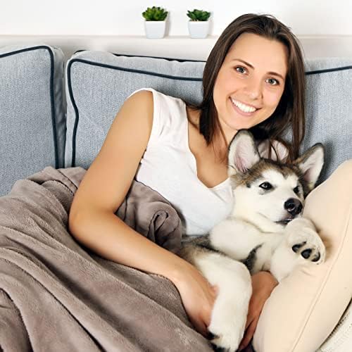 PETMAKER Pet Blanket - Reversible Waterproof Plaid Throw Protects Couch, Car, and Bed from Spills, Stains, or Fur - Dog and Cat Blankets (Gray), Large