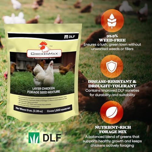 DLF Chicken Max – Forage Seed Mixture for Chickens, Poultry, and Farms – Layer Mix with Clover, Ryegrass, Buckwheat, and Flax – High-Protein Feed for Laying Hens, Chicks, and Coops – 5LB Bag