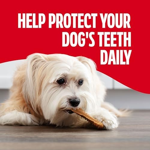 Milk-Bone Brushing Chews Mini Daily Dental Dog Treats, 18.9 oz Bag