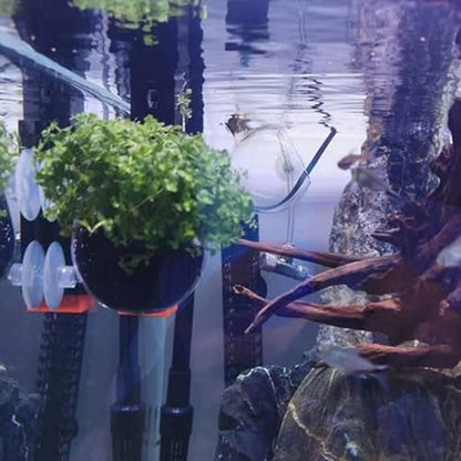WHJY Clear Glass Aquarium Suction Cups, Round Plant Holder, Fish Tank Plant Pots - Set of 2, Transparent