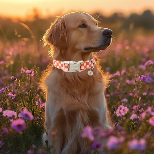 Gingham Fall Dog Collar – Adjustable Orange Picnic Checkered Dog Collar with Daisy Pendant, Classic Autumn Dogs Collars for Girl Boy Dogs
