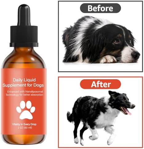 Dog Longevity Supplement NAD+ & NMN, Liposomal NAD Nicotinamide Riboside Resveratrol, Joint Health, Vitality & Healthy Aging, Easy to Give Every Day - Better Absorption, 60ML