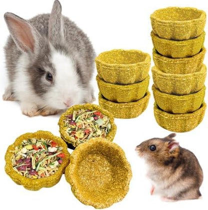 12 Pack Rabbit Chew Toys for Teeth Natural Guinea Pig Toys