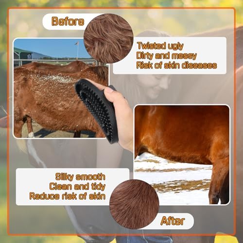 Curry Comb Kit, 6 Ring Curry Comb & Rubber Brush