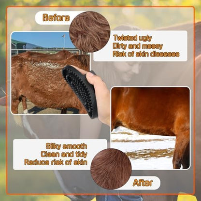 Curry Comb Kit, 6 Ring Curry Comb & Rubber Brush