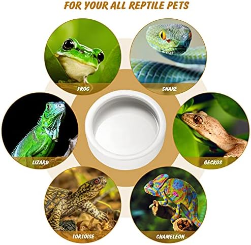 Reptile Food Dish Bowl 2Pcs Lizard Gecko Worm Water Bowls Small (2.75in)