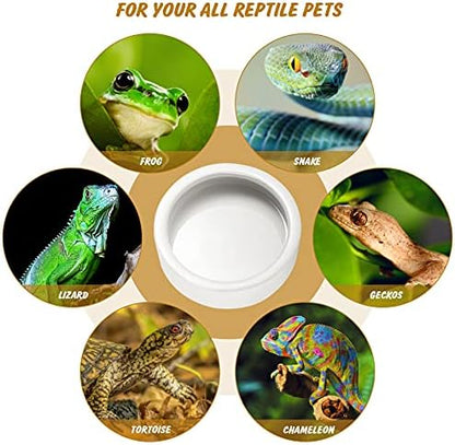 Reptile Food Dish Bowl 2Pcs Lizard Gecko Worm Water Bowls Small (2.75in)