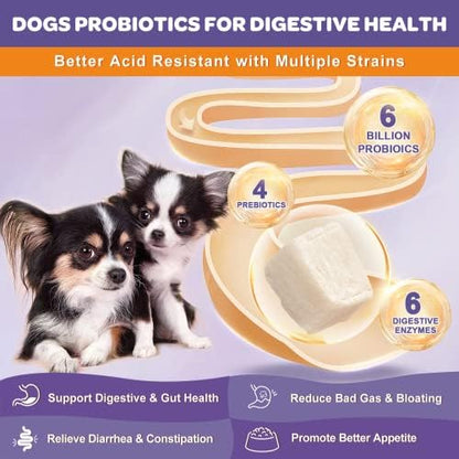 NATURE TARGET 6 Billion Freeze Dried Probiotics for Dogs, 120 Bites