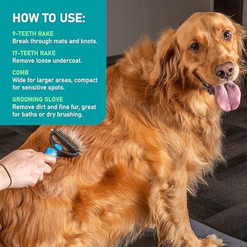 Maxpower Planet Dog Brush for Shedding, Dematting Grooming Tool, Large