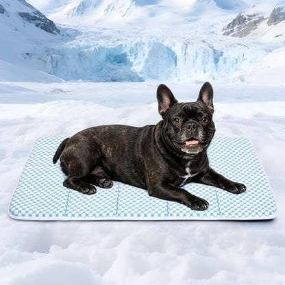 Dog Cooling Mat for Large Dogs, 30"x20" Memory Foam Pet Pad