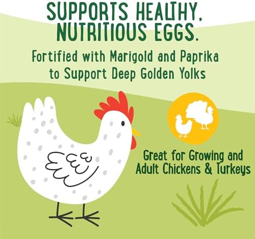Manna Pro Farmhouse Favorites Fly & Fruit Yolk Support Chicken Treat, Scratch, Insect & Fruit Blend for Poultry & Turkeys, Calcium & Omega-3 Support for Deep Golden Yolks, Poultry Treat, 7lb