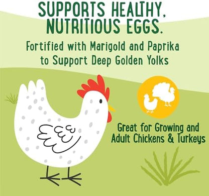 Manna Pro Farmhouse Favorites Fly & Fruit Yolk Support Chicken Treat, Scratch, Insect & Fruit Blend for Poultry & Turkeys, Calcium & Omega-3 Support for Deep Golden Yolks, Poultry Treat, 7lb
