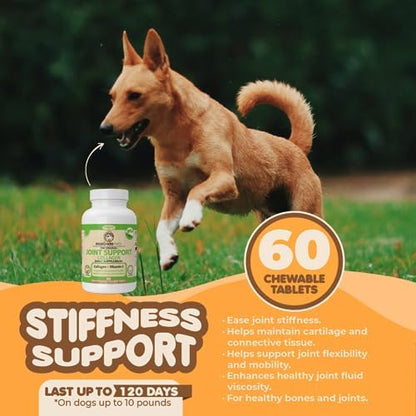 Collagen Concentrate for Dogs & Cats, Joint Support, 60 Count