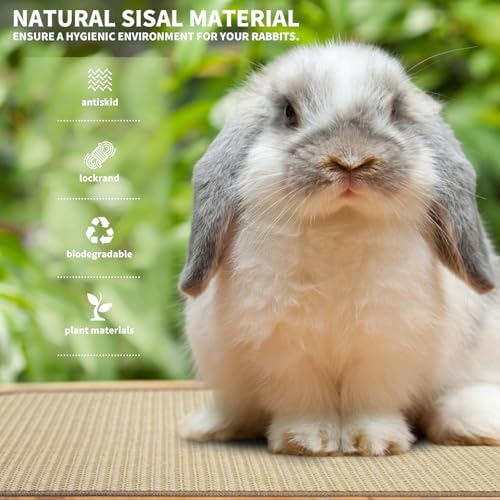 2Pcs Rabbit Scratch Mat,16 x 12 Inch Sisal Rabbit Scratching Pad