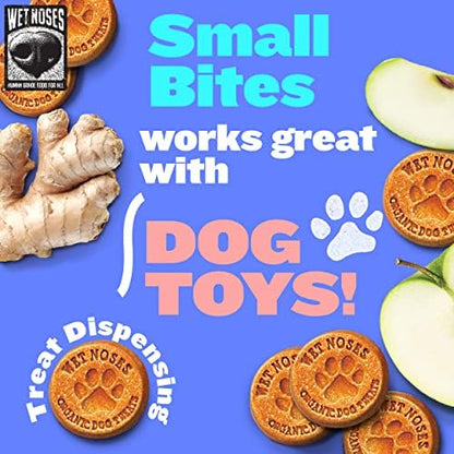 Wet Noses Organic Crunchy Dog Treats Grain Free – All-Natural, Human-Grade, Non-GMO, Healthy Training & Delicious Snacks for Dogs, for All Dog Sizes & Breeds – Apple & Ginger, 14oz (Single Pack)