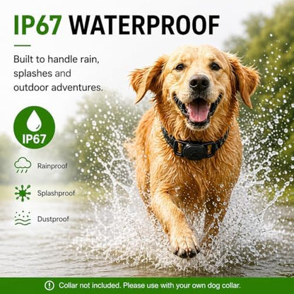 Pet Tracker for Dogs Android Only, GPS Dog Tracker Collar No Subscription – Google Find Hub Compatible Dog Tracker GPS, IP67 Waterproof with Replaceable 1-Year Battery (Network-Dependent)