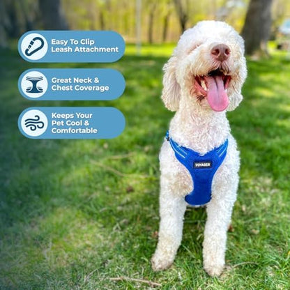 Best Pet Supplies Voyager Adjustable Step-in Flex Breathable Mesh Dog Harness for Small Medium Large Dogs Leash Set (Royal Blue), S
