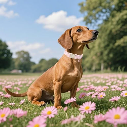 Lionet Paws Floral Dog Collar- Cute Daisy Pink Dog Collars with Plastic Buckle,Light Adjustable Dog Collars for Medium Large Dogs